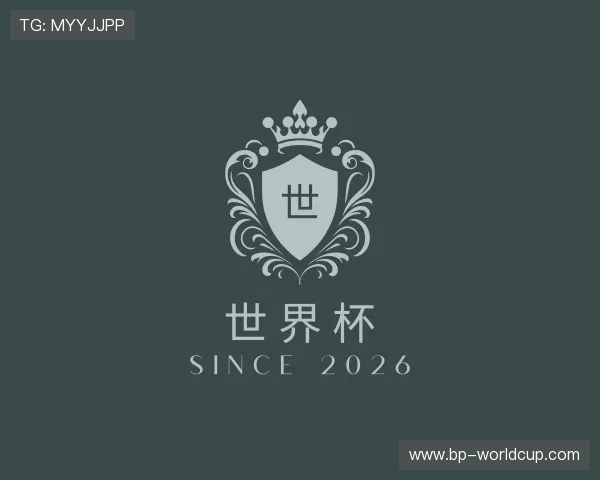 介绍世界杯